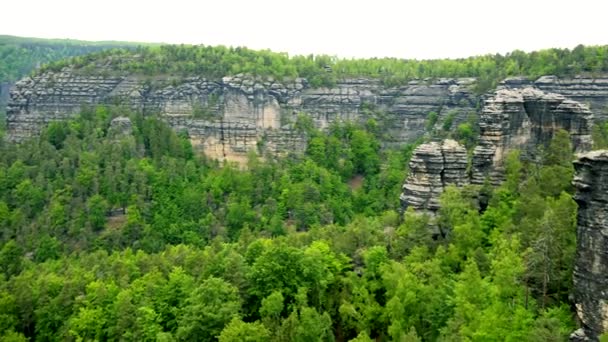 Un acantilado largo y rocas en un bosque espeso - vista superior — Vídeos de Stock