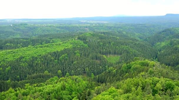 Uma vasta e espessa área florestal, o céu brilhante no fundo vista superior — Vídeo de Stock