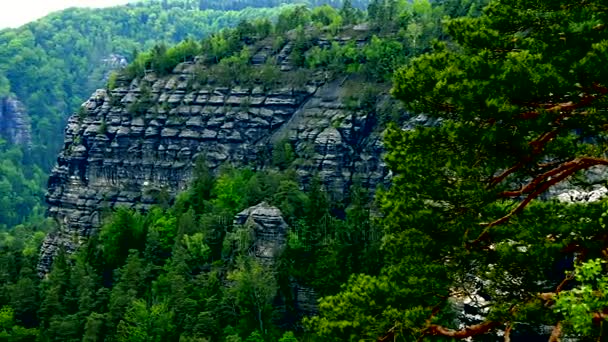 Cliff, otoczony lasem, więcej klifów w tle — Wideo stockowe