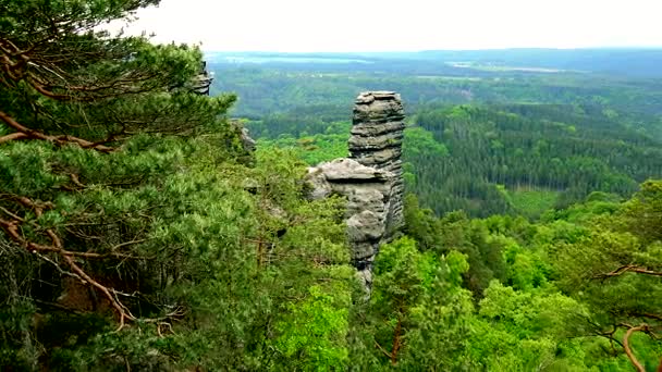 O vastă zonă de pădure deluroasă - vedere de sus — Videoclip de stoc