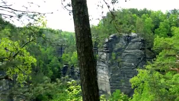 Una formazione di scogliere, alberi sulla cima — Video Stock