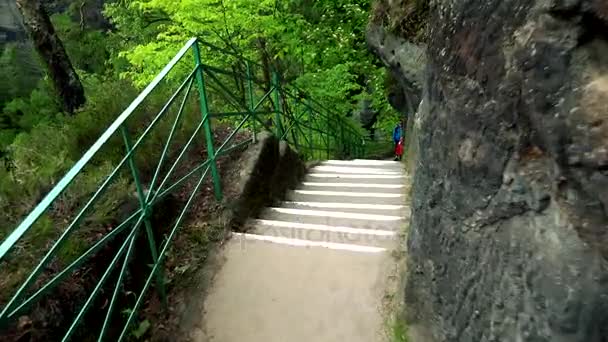 En bas des escaliers construits sur un rocher dans une forêt — Video