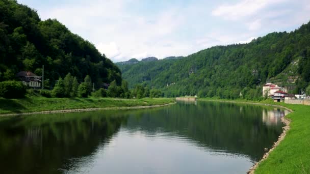 Un río en una zona rural, bosques a los lados — Vídeos de Stock