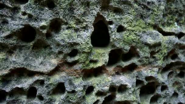 A wall of a rock - closeup — Stock Video