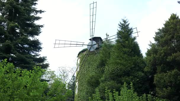 Прага, Чехія - 21 травня 2016: windmill позаду дерева, дерев'яний паркан на передньому плані — стокове відео