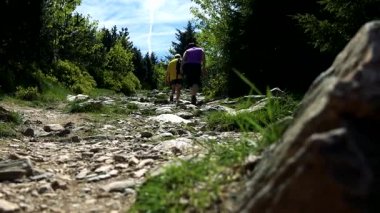 Bir ormandaki Taşlı bir yol, bir rock ön planda yürüyeyim yürüyüşçü