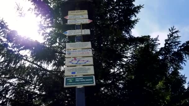 Δάσος guidepost από κάτω, μια κωνοφόρων δέντρων στο παρασκήνιο — Αρχείο Βίντεο