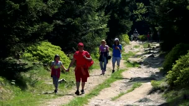 Vandrare promenad ner en stenig väg i en skog — Stockvideo