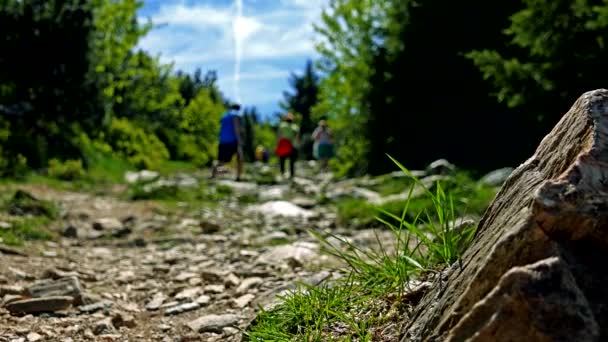 Wanderer gehen einen steinigen Pfad in ländlicher Umgebung hinunter - verschwommen, ein Felsen im Vordergrund — Stockvideo