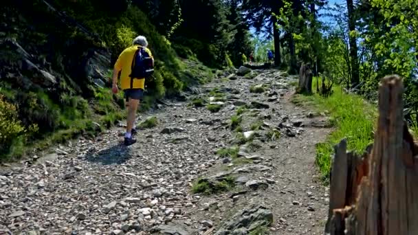 Un par de excursionistas caminan por un camino pedregoso en una colina en una zona rural — Vídeos de Stock