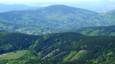 Bir büyük tepelik orman alanı - Üstten Görünüm