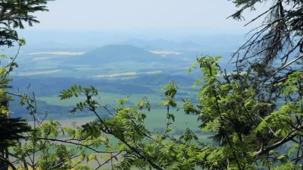 A vast rural area, the misty horizon and the sky in the background, tree limbs in the foreground - top view — Stock Video