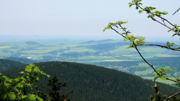 Rozlehlé venkovské oblasti, mlžným horizontem a na obloze v pozadí, větvemi stromů v popředí - pohled shora — Stock video