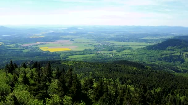 Een bovenaanzicht van de enorme landelijk gebied - velden, een bos op de voorgrond, de heldere hemel op de achtergrond- — Stockvideo