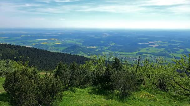 En väg går genom buskage i ett stort skogsområde, den ljusa blå himmel i bakgrunden — Stockvideo