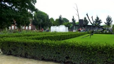 Çim botanic Garden çevresinde hedge