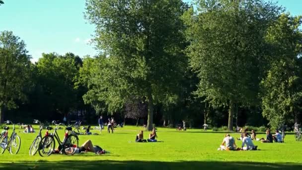 La gente se sienta y camina en el parque — Vídeo de stock