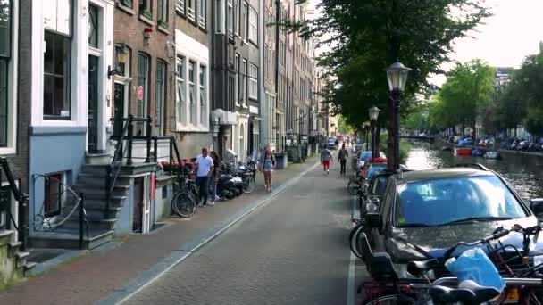 People walking in busy street — Stock Video