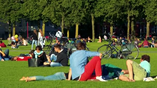 Люди сидят и гуляют в парке — стоковое видео