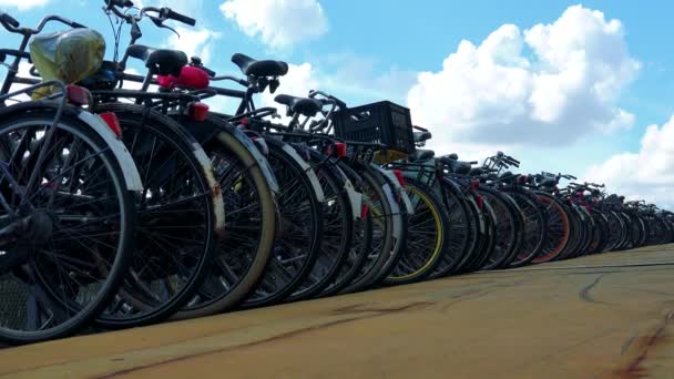 Rad av cyklar på park — Stockvideo