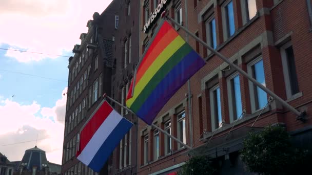 Bandera de Arco Iris y Bandera de Netherlands — Vídeo de stock