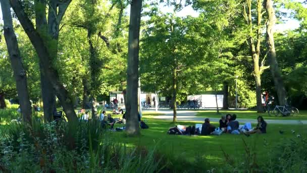 As pessoas sentam-se e caminham no parque — Vídeo de Stock