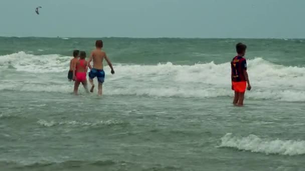 Люди на пляже в воде — стоковое видео