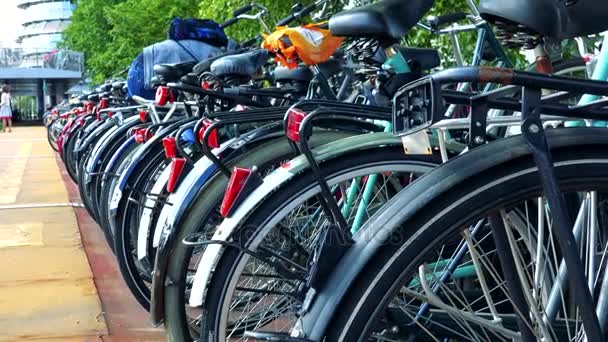 Fila de bicicletas estacionadas no parque — Vídeo de Stock