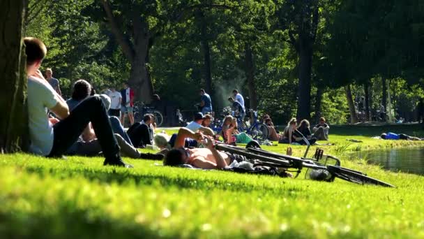 Люди сидять і ходити в парк — стокове відео