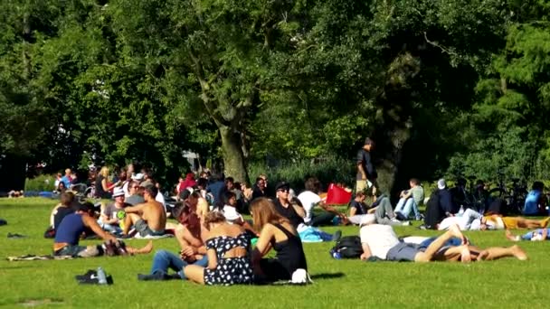 Mensen zitten en lopen in het park — Stockvideo