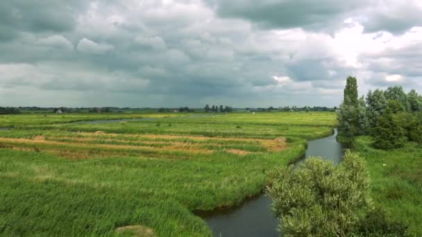 Um rio atravessa uma zona rural — Vídeo de Stock