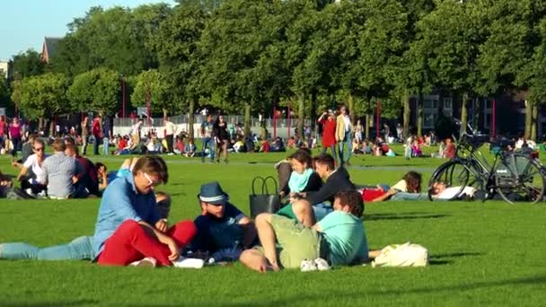 As pessoas sentam-se e caminham no parque — Vídeo de Stock