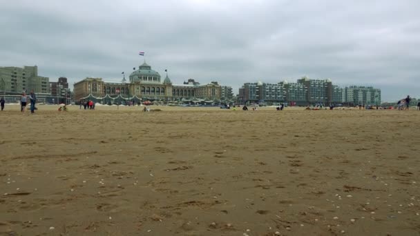 Des gens sur une plage, des bâtiments en arrière-plan — Video