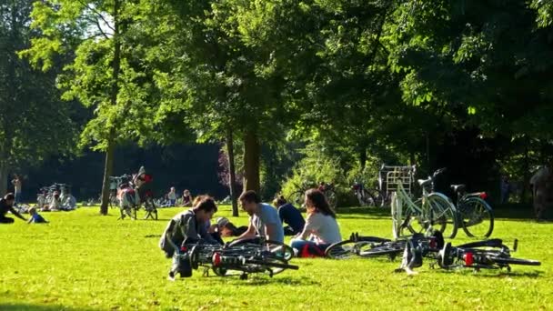 La gente si siede e cammina al parco — Video Stock