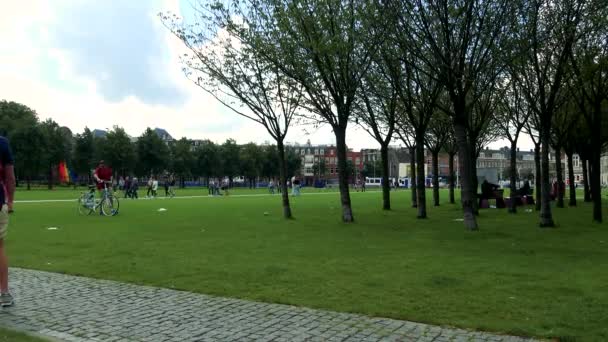 Menschen sitzen und gehen im Park — Stockvideo