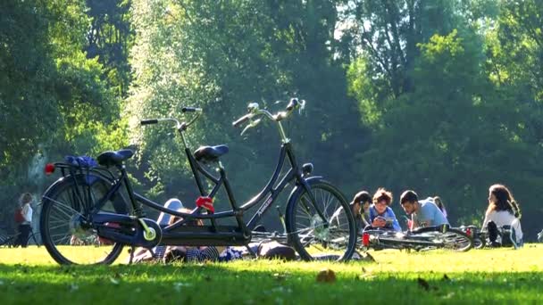 As pessoas sentam-se e caminham no parque — Vídeo de Stock