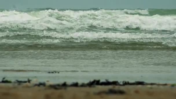 Морские волны текут по пляжу и от него — стоковое видео
