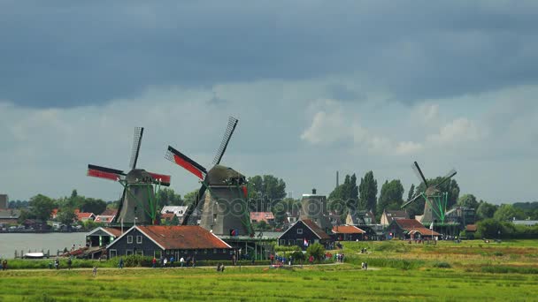 Moulins à vent dans une zone rurale — Video