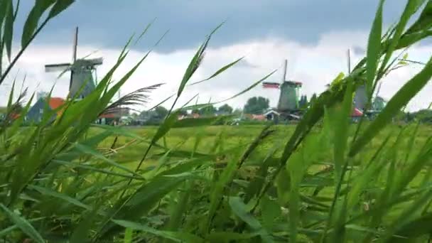 Väderkvarnar i ett landsbygdsområde — Stockvideo
