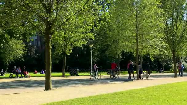 Άνθρωποι ιππασία ποδήλατα — Αρχείο Βίντεο