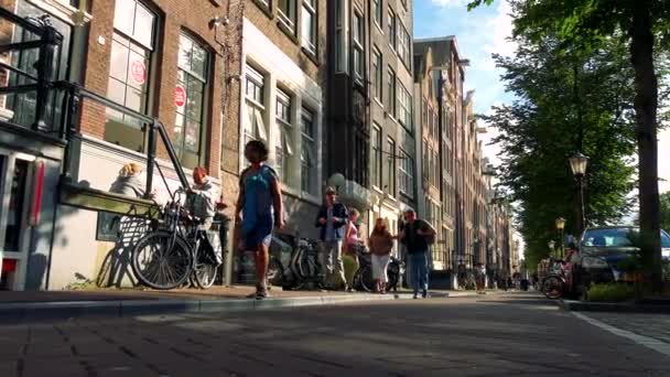 People walking in busy street — Stock Video