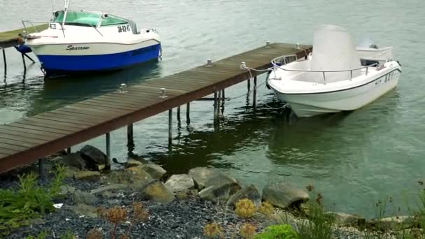 Bateaux garés à quai sur une rivière — Video