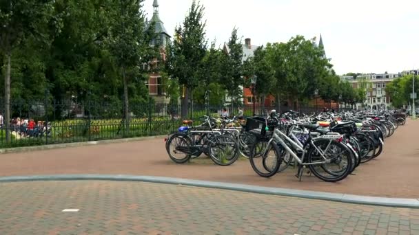 Zaparkowane rowery w linii w parku — Wideo stockowe
