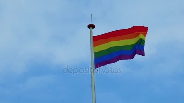 Bandera del arco iris en viento — Vídeos de Stock