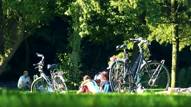 People liying in grass — Stock Video