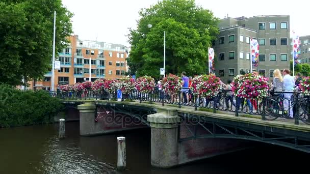 People walk across bridge — Stock Video