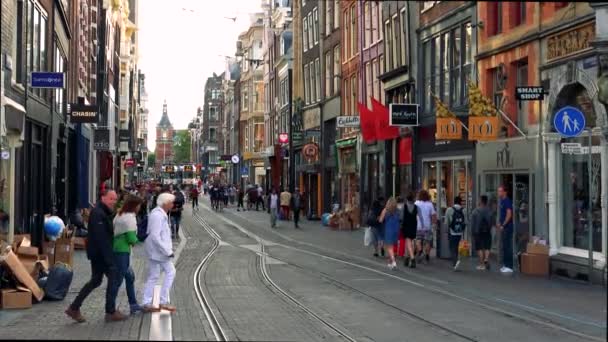 Ludzie chodzą w ruchliwej ulicy — Wideo stockowe