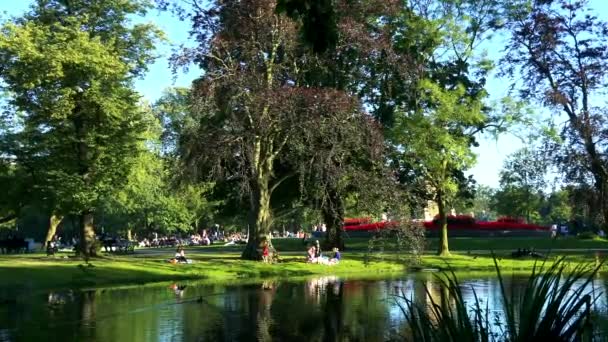 Mensen zitten en lopen in het park — Stockvideo