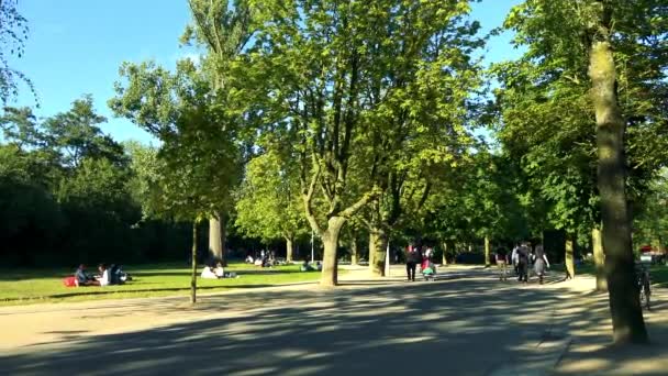 Menschen sitzen und gehen im Park — Stockvideo