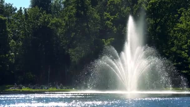 Фонтан в пруду в парке — стоковое видео